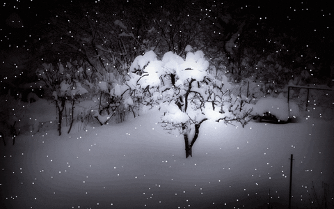 winter GIF