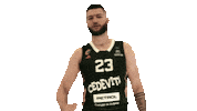 Martinasgeben Sticker by kkcedevitaolimpija