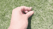 Fun Eat GIF by Orlando Pride