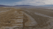 viceland GIF by ABANDONED
