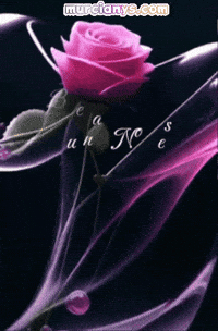 Rosa Amigos GIF by Murcianys LLC