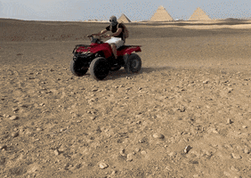World Travel Egypt GIF by Black Women Love Dogs