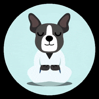 Wollitdotcom finance fintech income gigeconomy GIF