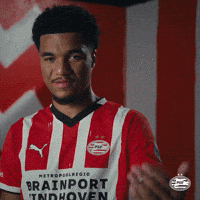 Usa Eindhoven GIF by PSV