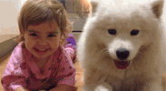 smile GIF