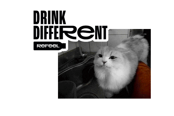 Cat Brand Sticker by Refeel