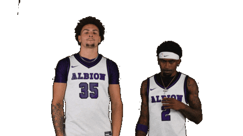 Ppp D3 Sticker by Albion College