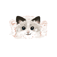 Car Meow Sticker