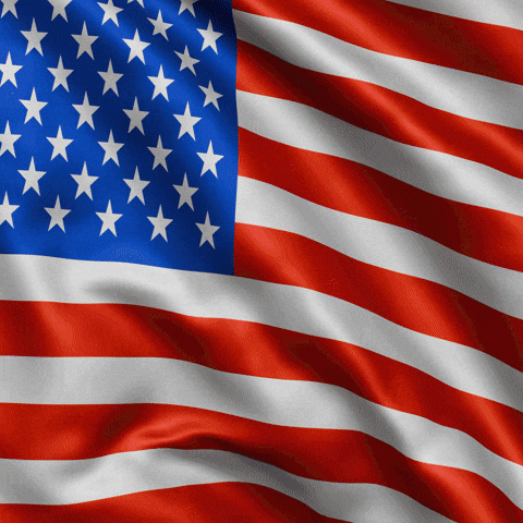 Hot Dog Pizza GIF by Magic Eden