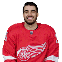 Red Wings Hockey Sticker by Detroit Red Wings
