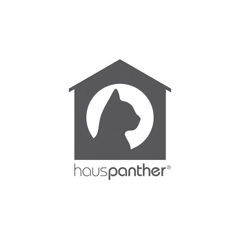 hauspanther giphyupload logo cats zoom GIF