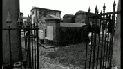 hangin tough new kids on the block GIF