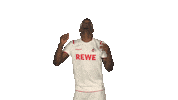 Heading Jhon Cordoba Sticker by Bundesliga