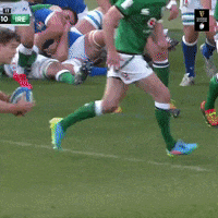 Irish Rugby Celebration GIF by Guinness Six Nations