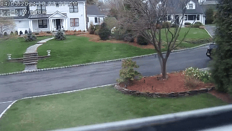 New Jersey Earthquake GIF by Storyful