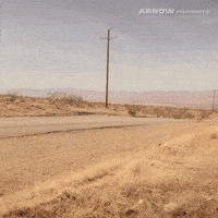 Jim Cummings Film GIF by Arrow Video