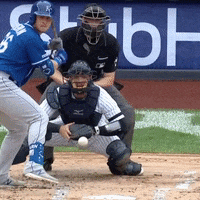 Jomboy  GIF