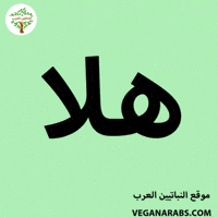 Middle East Wow GIF by VeganArabs