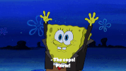 season 9 episode 20 GIF by SpongeBob SquarePants