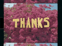 Super 8 Thank You GIF by Jess