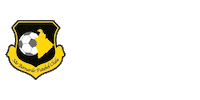 Sao Bento Xv Sticker by Federação Paulista de Futebol