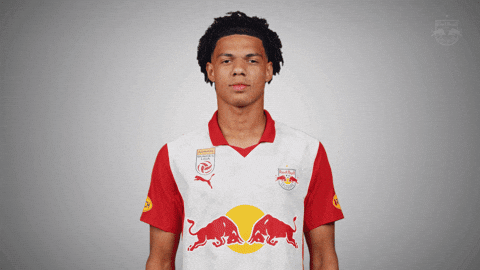 Show Love Heart GIF by FC Red Bull Salzburg