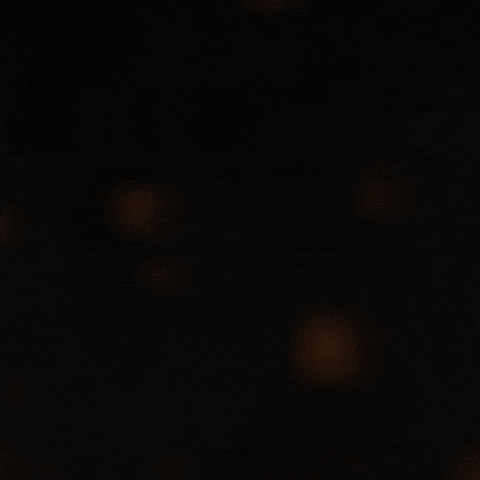 Tbs GIF by THE BEARD STRUGGLE