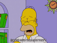 homer simpson episode 13 GIF