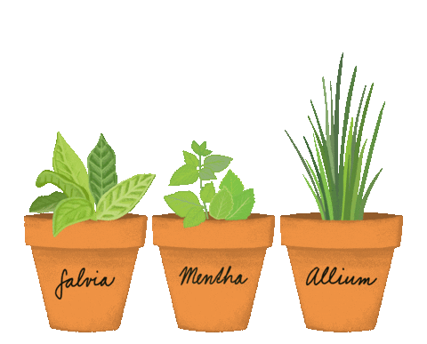 Magic Flowers Sticker by Mysľomágovia