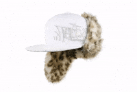 Dogearhat GIF by Toppaldn