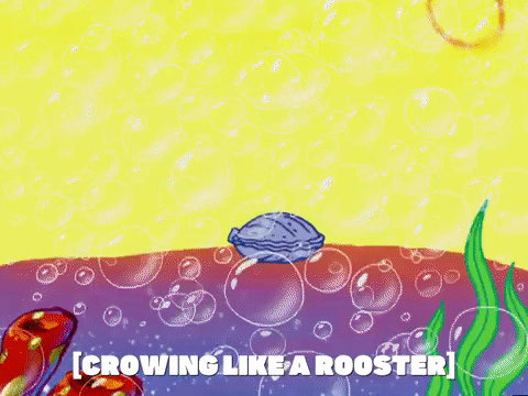 season 5 new digs GIF by SpongeBob SquarePants