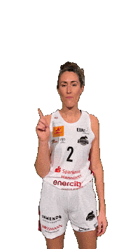 Basketball No Sticker by TKH Luchse