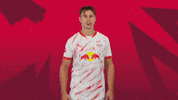 Proud Willi Orban GIF by RB Leipzig