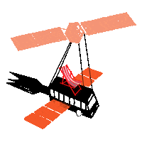 Oranjebloesem koningsdag koningsdag2020 oranjebloesem oranjebloesem2020 Sticker