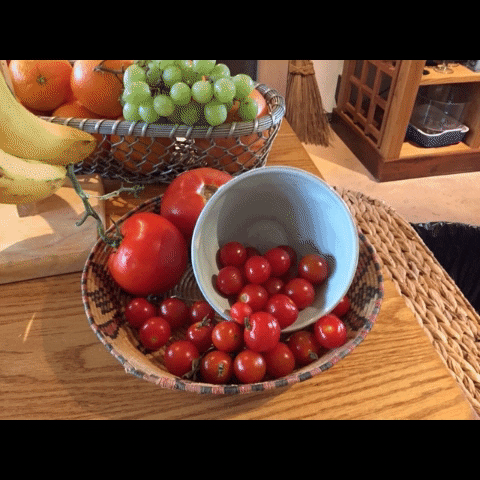 KNeville giphygifmaker GIF