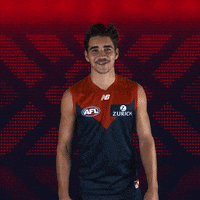 lets go celebration GIF by Melbournefc
