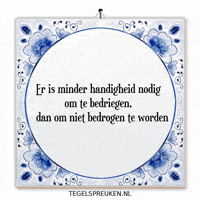 Humor Nl GIF by Tegelspreuken.nl