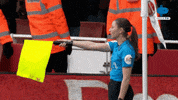 Arsenal Ligainggris GIF by MolaTV