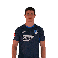 Sport Bundesliga Sticker by TSG Hoffenheim