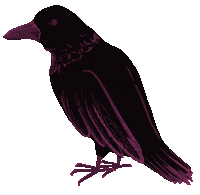 Halloween Magic Sticker