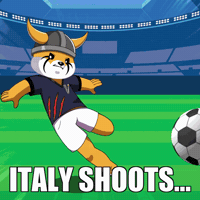 World Cup Football GIF by FLOKI