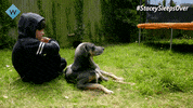 W Channel Stacey Sleeps Over GIF by UKTV