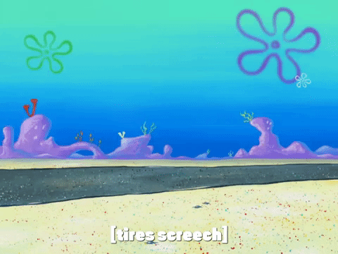 season 7 episode 6 GIF by SpongeBob SquarePants