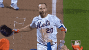 Happy Ny Mets GIF by New York Mets