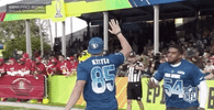 pro bowl football GIF by NFL