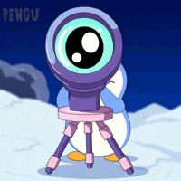 Crypto Looking GIF by Pudgy Penguins