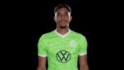 Football Reaction GIF by VfL Wolfsburg