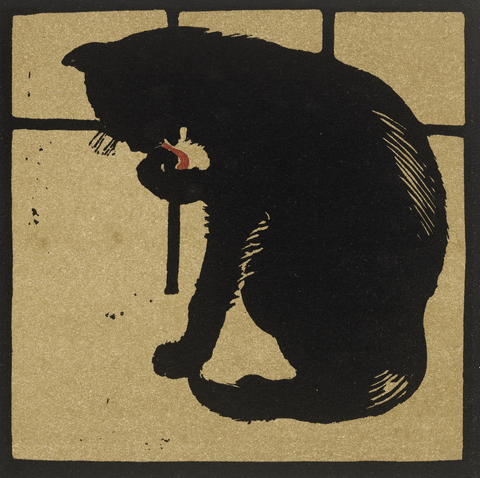Licking Black Cat GIF by Ashmolean Museum