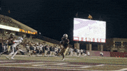 College Football Sport GIF by Texas State Football
