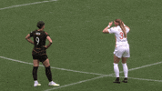 Chicago Red Stars Sport GIF by National Women's Soccer League